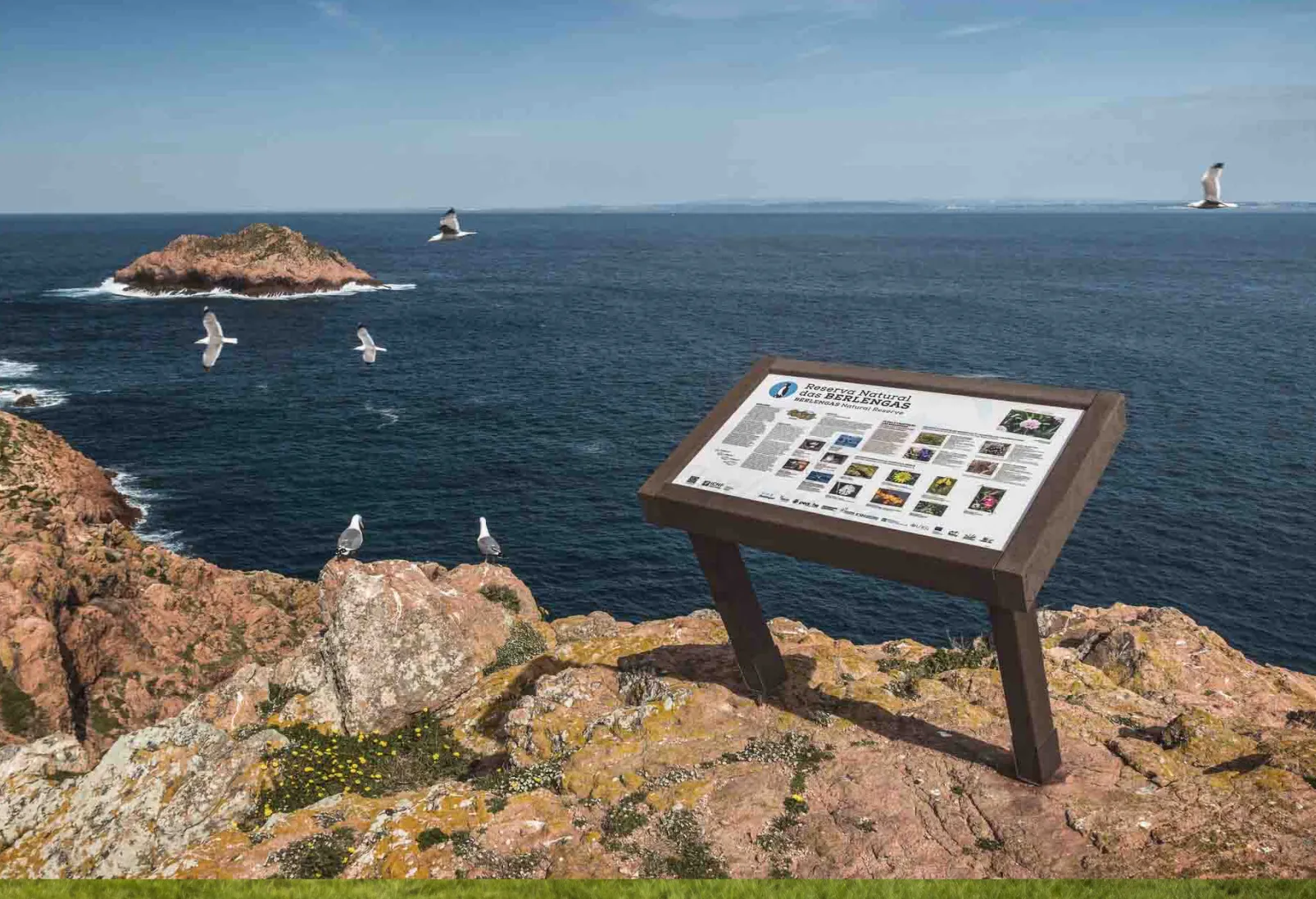 Mesa interpretativa pequena ICNF, com estrutura em plástico reciclado e painel em HPL Print, integrada na área protegida das Berlengas.