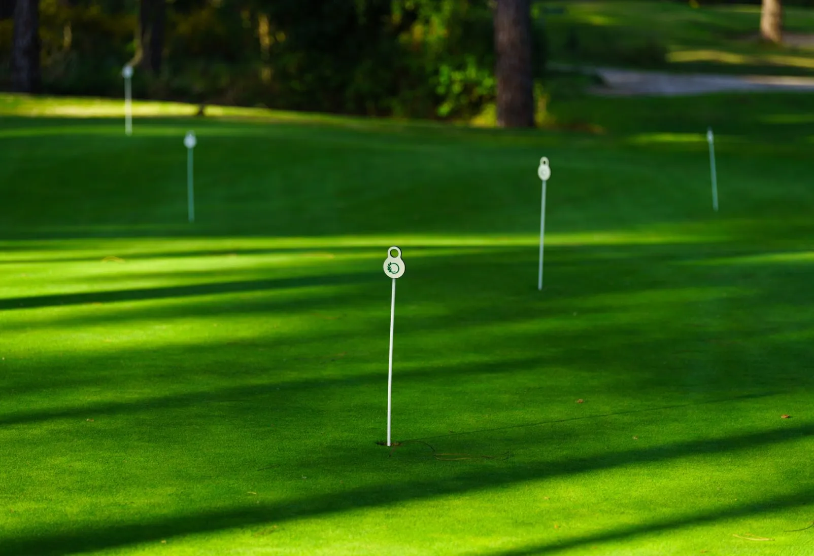 Vista geral de área de putting green em campo de golf com sinalética em cada buraco para praticar jogo de precisão.