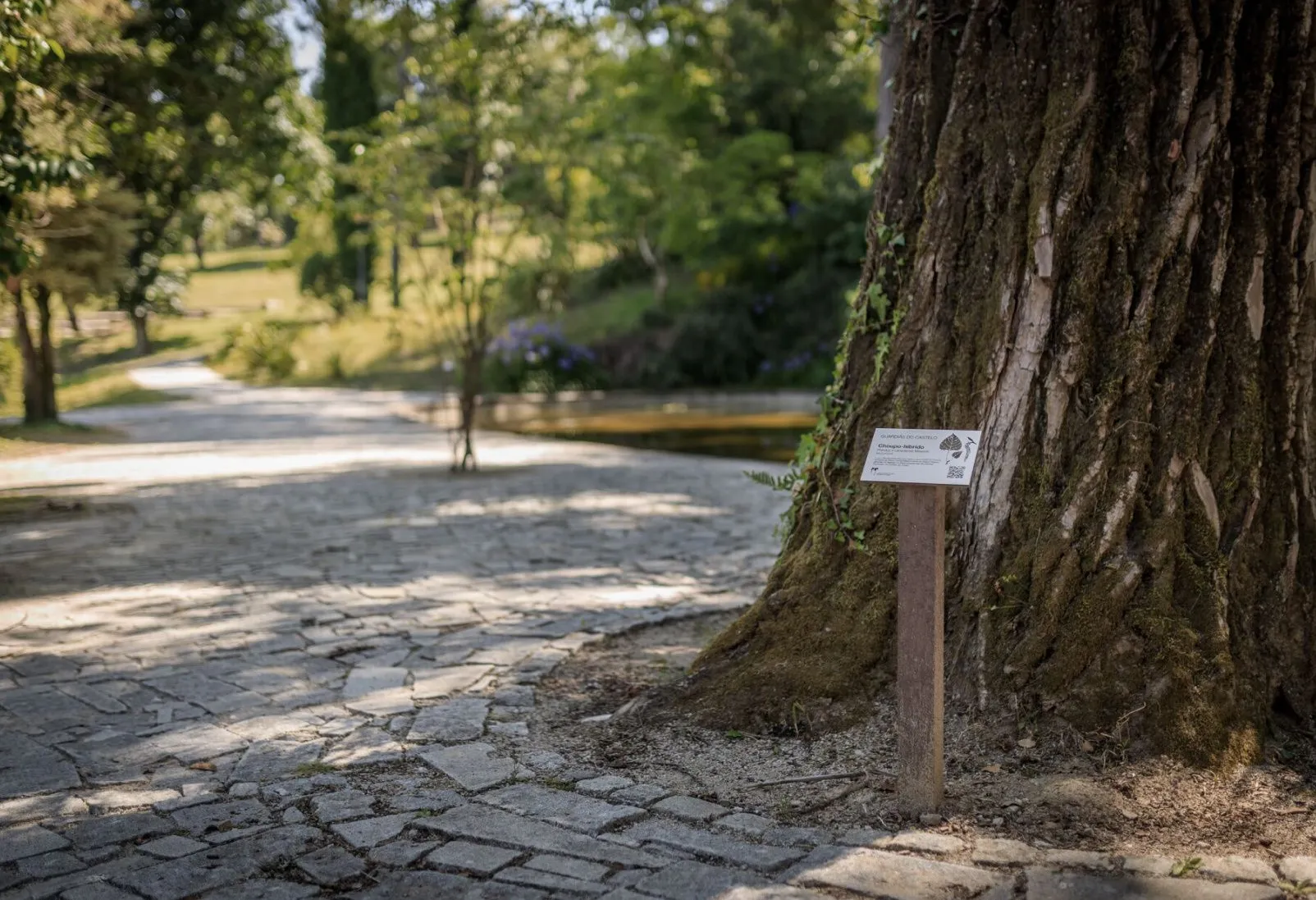 Placa de espécie de árvore em parque natural com estrutura em plástico reciclado castanho e placa em HPL+, modelo Floema.