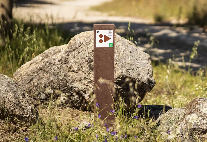 Detail of personalised thin recycled plastic marker with embedded aluminium sign, in a natural setting.