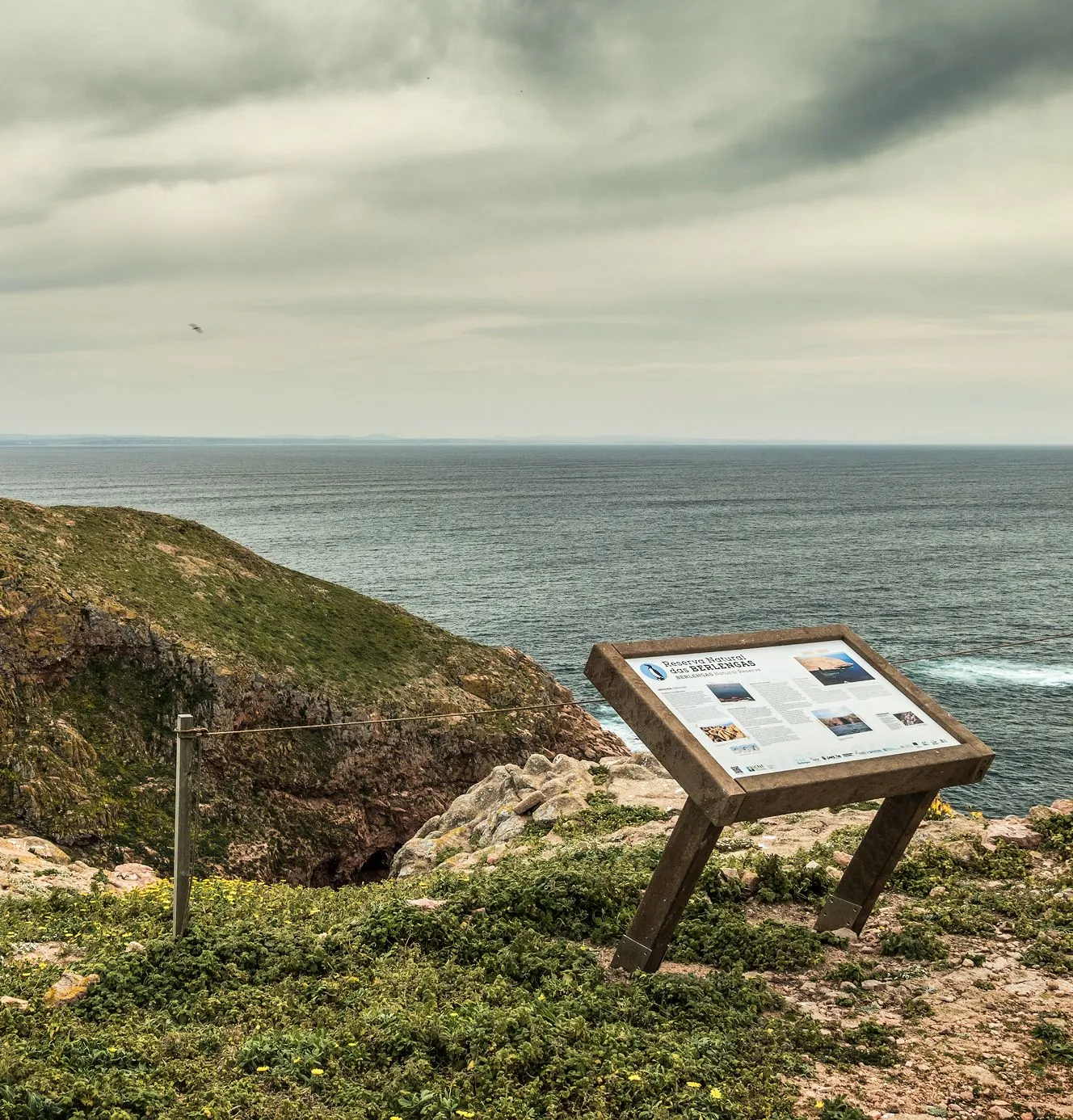 Ilha das Berlengas, Portugal