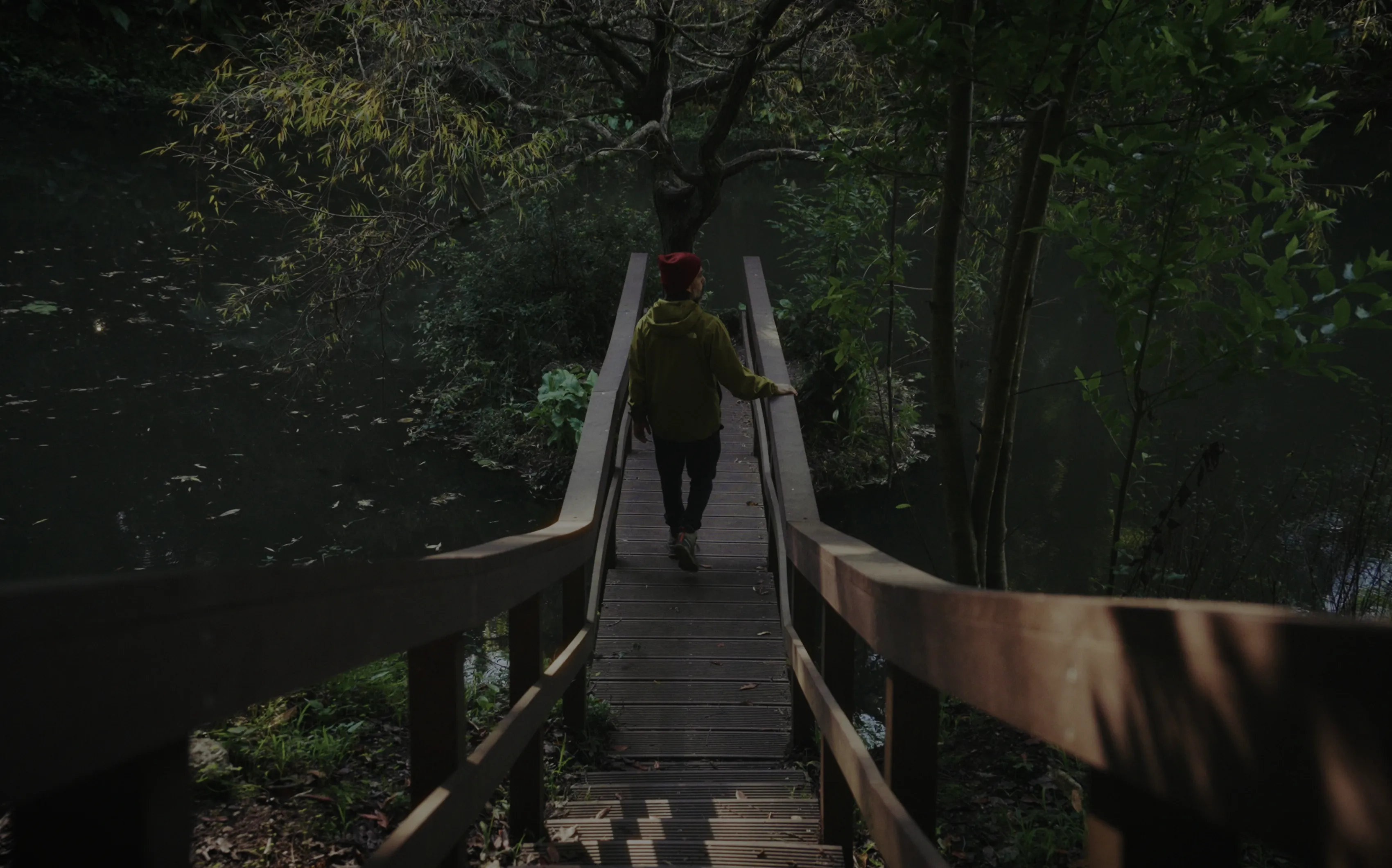 Passadiço em plástico reciclado da Floema rePlastic na Mata Nacional do Bussaco 